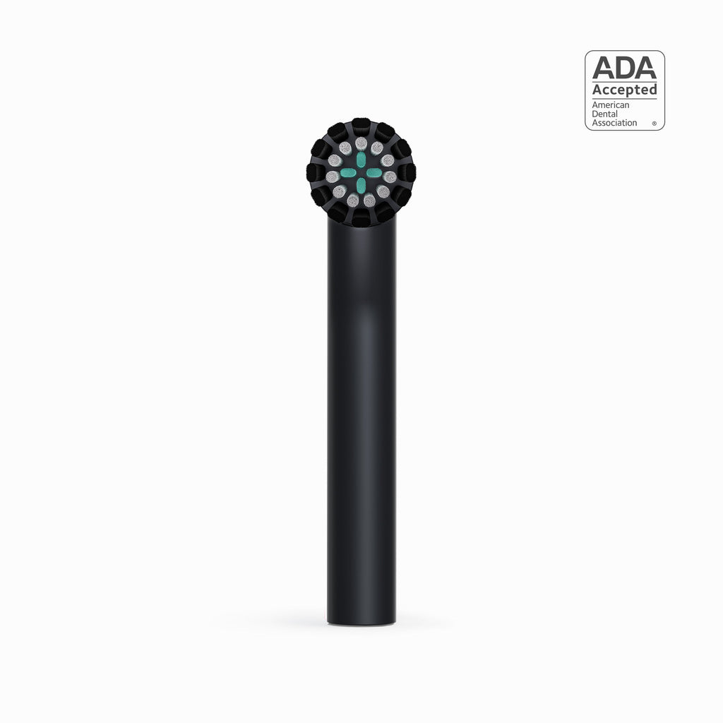 A close-up shot of a black quip Rev Brush head refill, with the ADA Accepted logo in the top right corner.