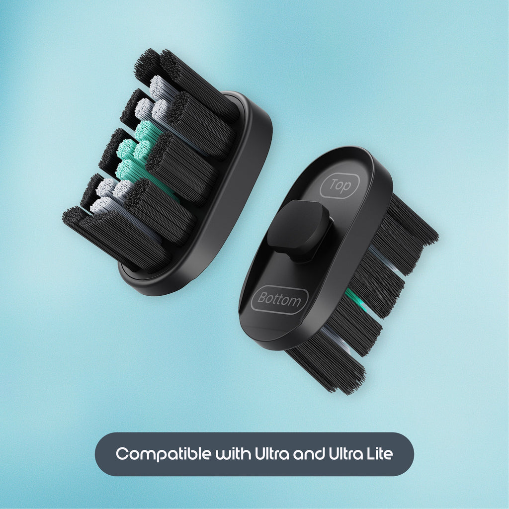 Set of grooming brushes with interchangeable bristle heads on a light blue background